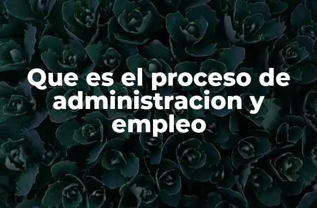 Que es el Proceso de Administracion y Empleo