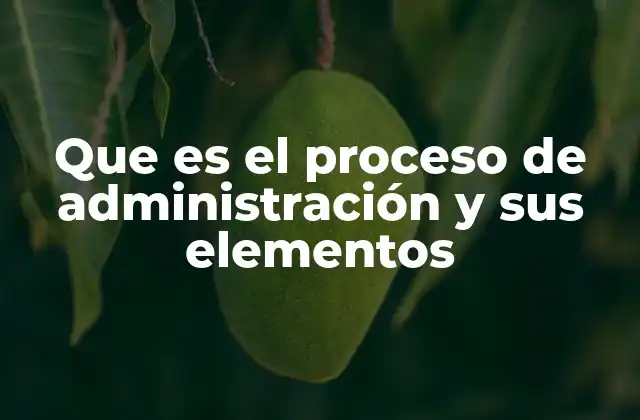 Que es el Proceso de Administración y Sus Elementos