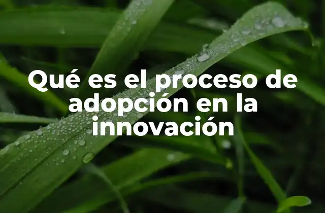 Qué es el Proceso de Adopción en la Innovación