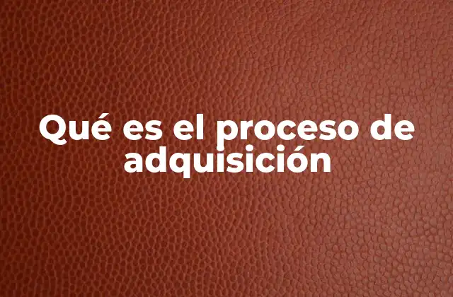 Qué es el Proceso de Adquisición