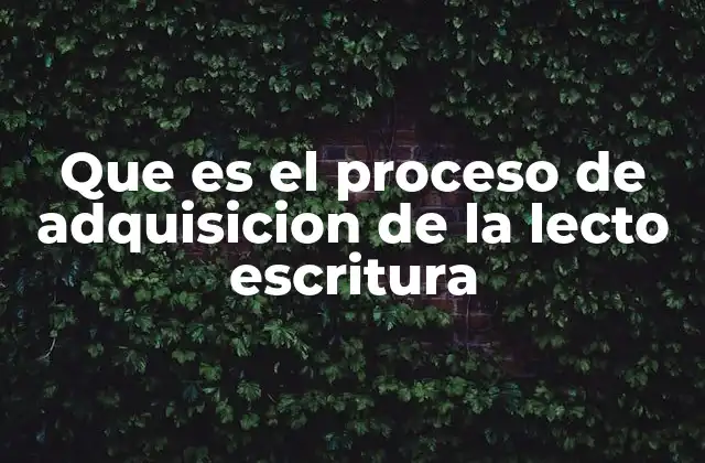 Que es el Proceso de Adquisicion de la Lecto Escritura