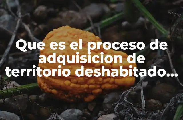 Que es el Proceso de Adquisicion de Territorio Deshabitado Historia
