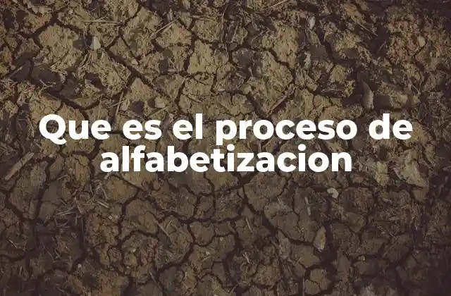 Que es el Proceso de Alfabetizacion