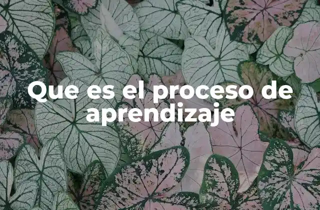 Que es el Proceso de Aprendizaje