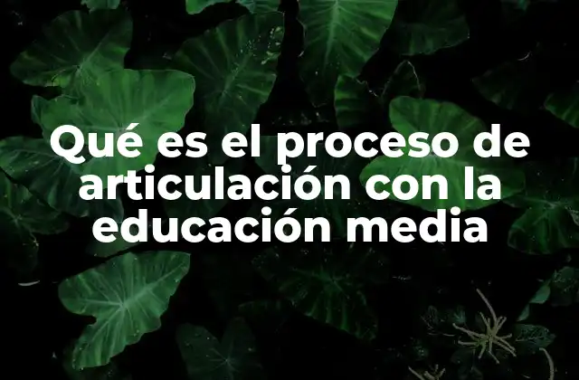 Qué es el Proceso de Articulación con la Educación Media