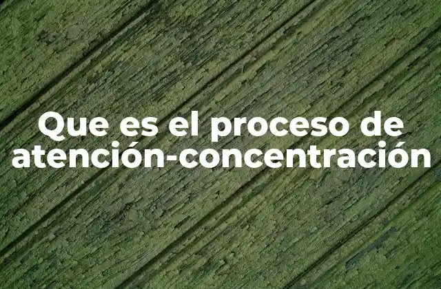 Que es el Proceso de Atención-concentración