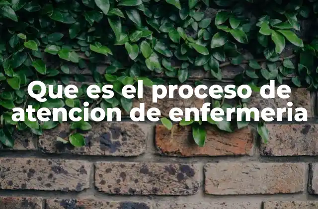 Que es el Proceso de Atencion de Enfermeria