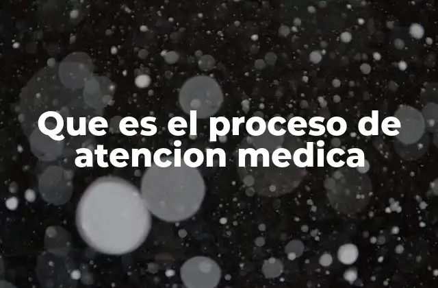 Que es el Proceso de Atencion Medica