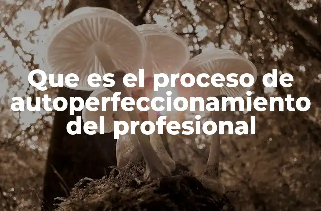 Que es el Proceso de Autoperfeccionamiento Del Profesional