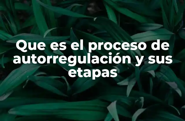 Que es el Proceso de Autorregulación y Sus Etapas