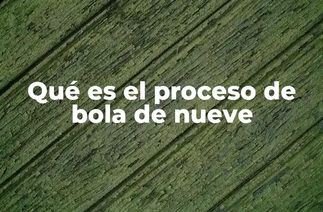 Qué es el Proceso de Bola de Nueve