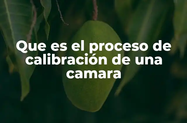 Que es el Proceso de Calibración de una Camara