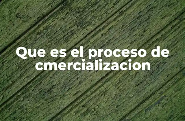 Que es el Proceso de Cmercializacion