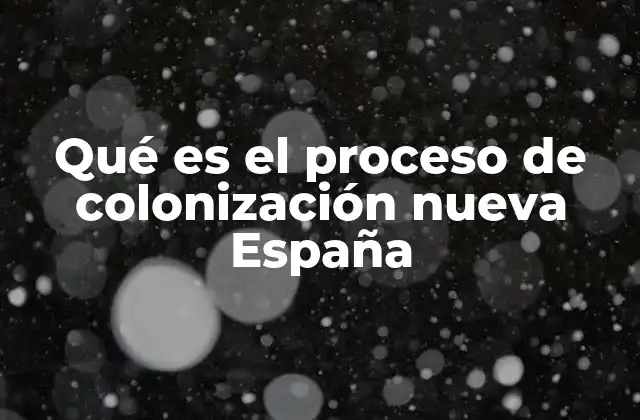 Qué es el Proceso de Colonización Nueva España