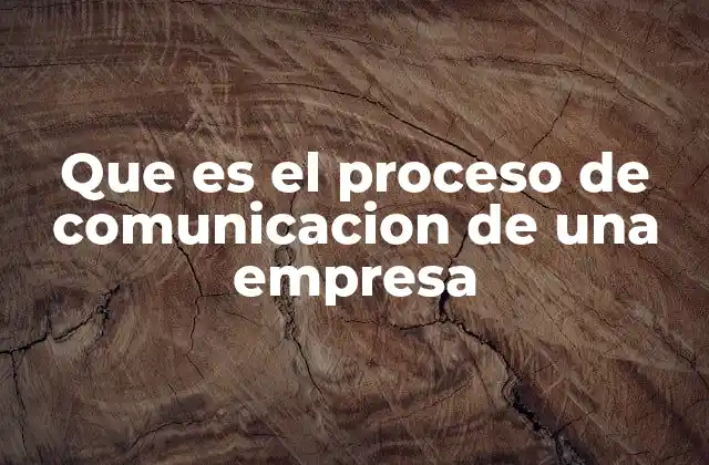 Que es el Proceso de Comunicacion de una Empresa