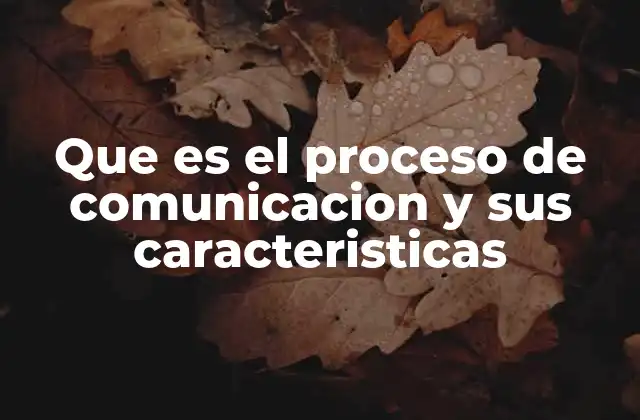Que es el Proceso de Comunicacion y Sus Caracteristicas