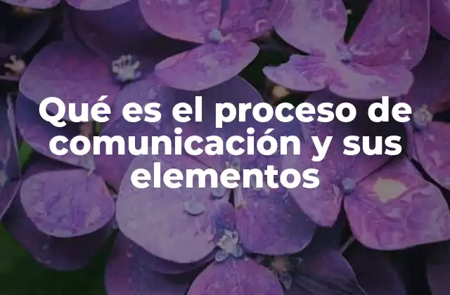 Qué es el Proceso de Comunicación y Sus Elementos 2 Cómo se estructura el proceso de comunicación