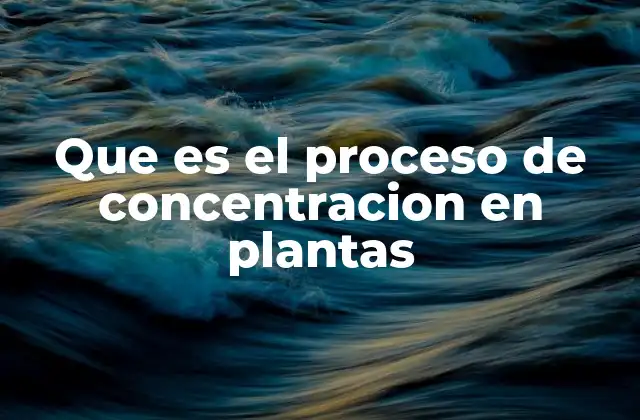 Que es el Proceso de Concentracion en Plantas