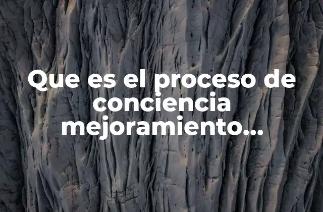 Que es el Proceso de Conciencia Mejoramiento Mantenimiento