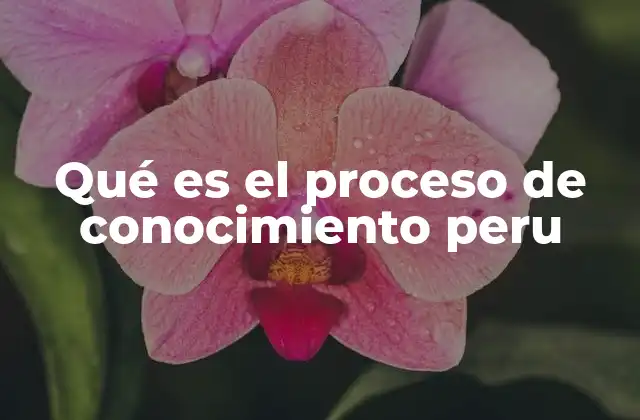 Qué es el Proceso de Conocimiento Peru