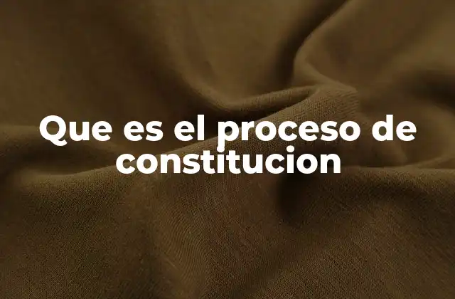 Que es el Proceso de Constitucion