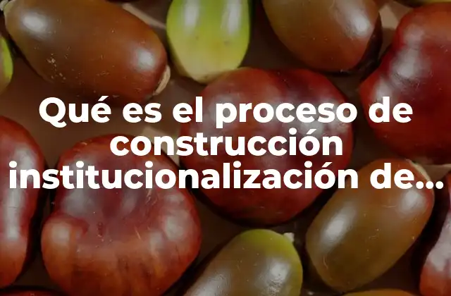 Qué es el Proceso de Construcción Institucionalización de los Géneros