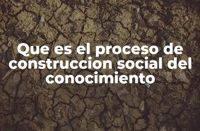 Que es el Proceso de Construccion Social Del Conocimiento