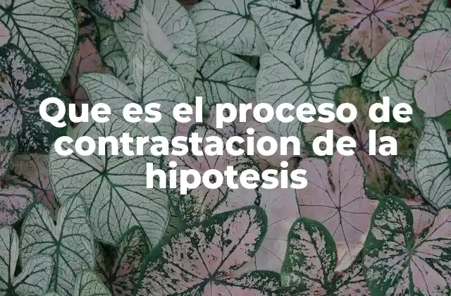 La base científica detrás de la contrastación de hipótesis