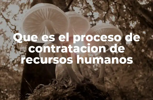 Que es el Proceso de Contratacion de Recursos Humanos