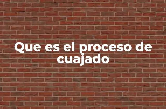 Que es el Proceso de Cuajado