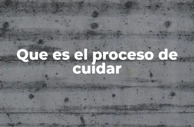 Que es el Proceso de Cuidar