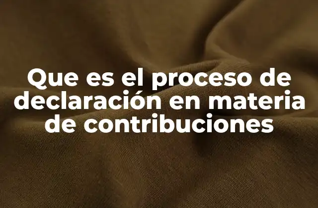 Que es el Proceso de Declaración en Materia de Contribuciones