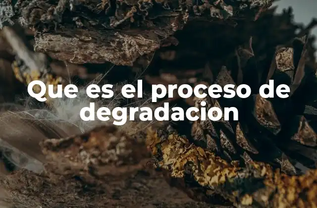 Que es el Proceso de Degradacion 2 Cómo la degradación afecta a los materiales y su entorno