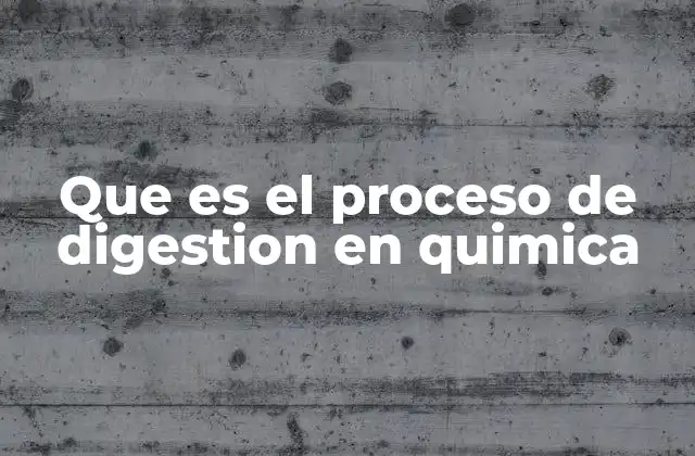 Que es el Proceso de Digestion en Quimica