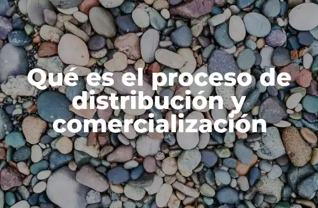 Qué es el Proceso de Distribución y Comercialización