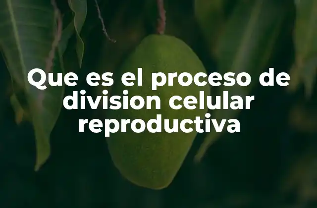 Que es el Proceso de Division Celular Reproductiva