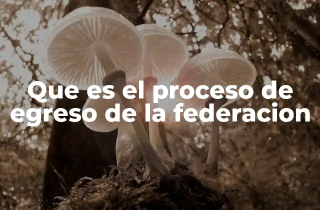 Que es el Proceso de Egreso de la Federacion