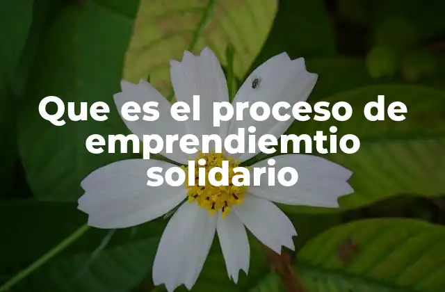 Que es el Proceso de Emprendiemtio Solidario
