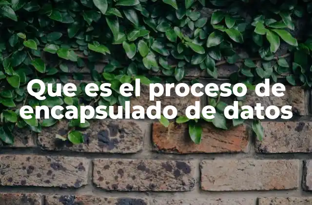 Que es el Proceso de Encapsulado de Datos