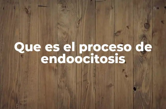 Que es el Proceso de Endoocitosis