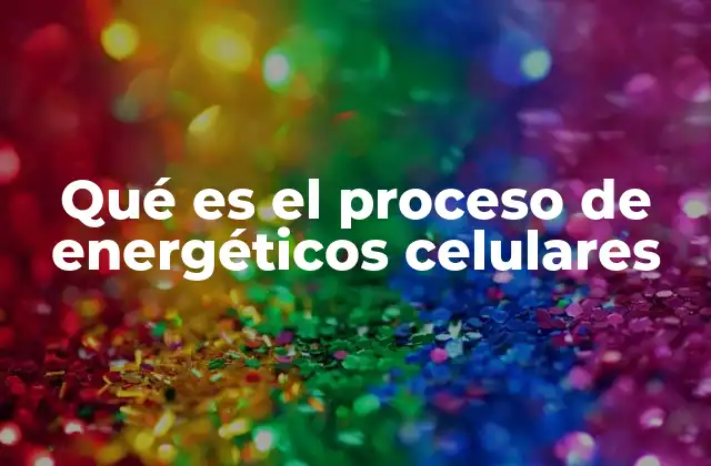 Qué es el Proceso de Energéticos Celulares