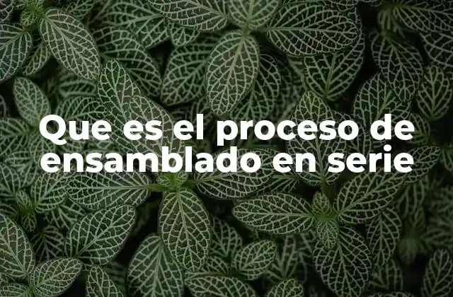 Que es el Proceso de Ensamblado en Serie