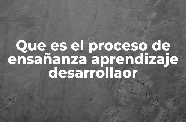 Que es el Proceso de Ensañanza Aprendizaje Desarrollaor