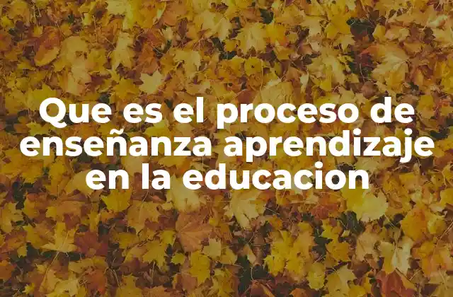Que es el Proceso de Enseñanza Aprendizaje en la Educacion