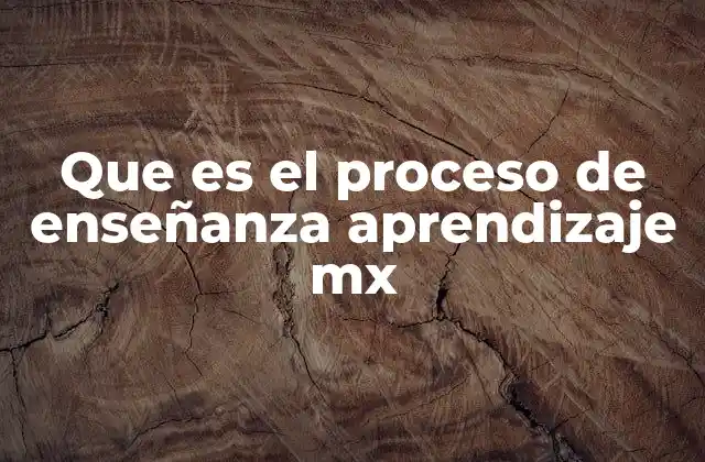 Que es el Proceso de Enseñanza Aprendizaje Mx