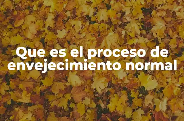 Que es el Proceso de Envejecimiento Normal