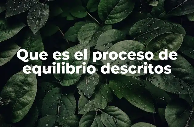 Que es el Proceso de Equilibrio Descritos