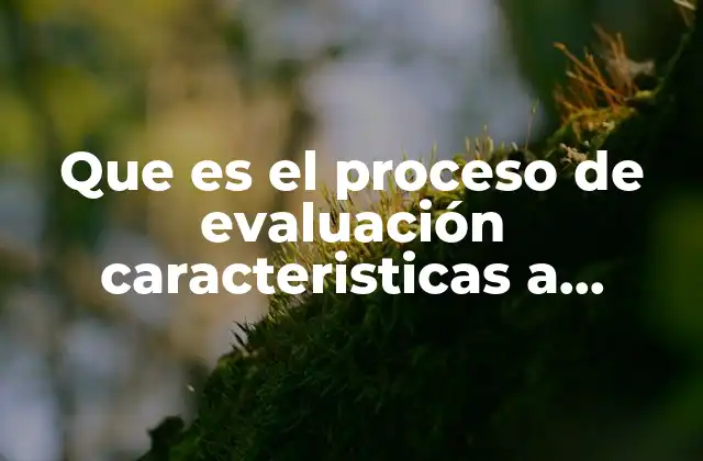 Que es el Proceso de Evaluación Caracteristicas a Evañuar