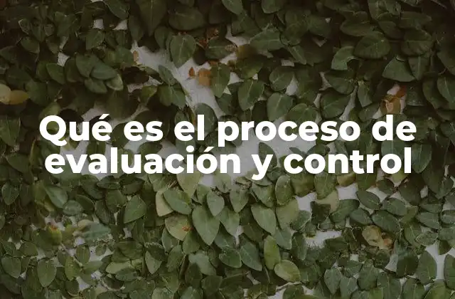 Qué es el Proceso de Evaluación y Control