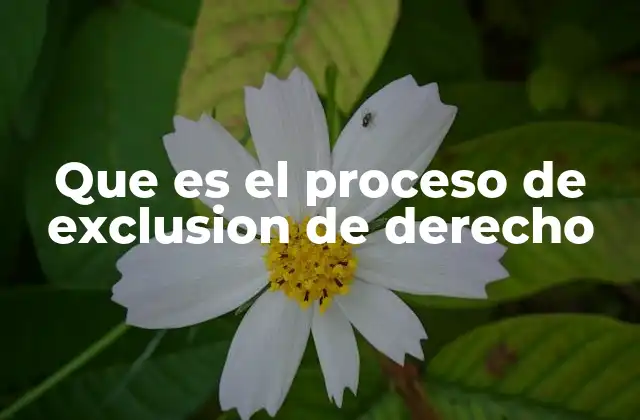 La importancia de entender el proceso legal de desvinculación